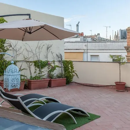Roof Cathedral Apartment